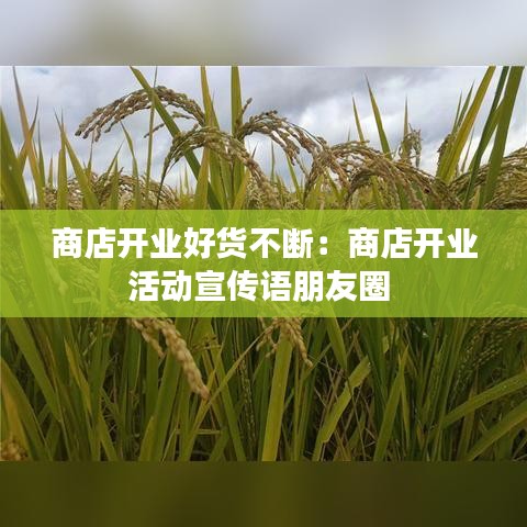 商店开业好货不断：商店开业活动宣传语朋友圈 