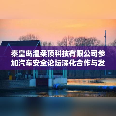 秦皇岛温柔顶科技参加汽车安全论坛，深化合作，共谋发展