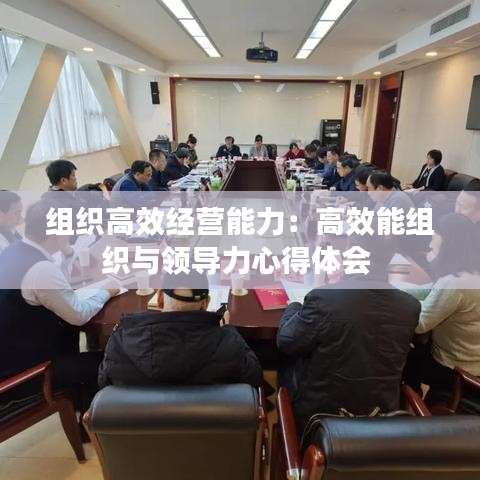 组织高效经营能力：高效能组织与领导力心得体会 