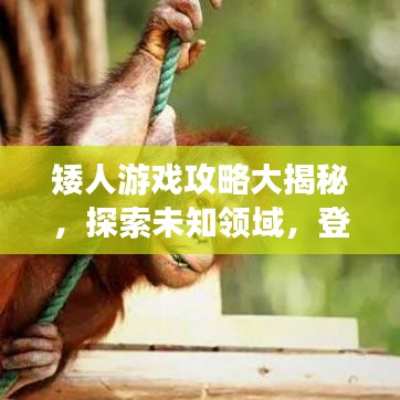 矮人游戏攻略大揭秘，探索未知领域，登顶顶尖玩家之路！