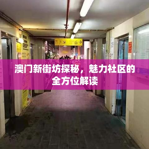 澳门新街坊探秘，魅力社区的全方位解读