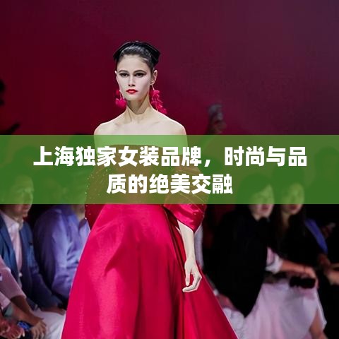 上海独家女装品牌，时尚与品质的绝美交融