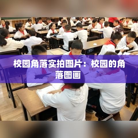 校园角落实拍图片：校园的角落图画 