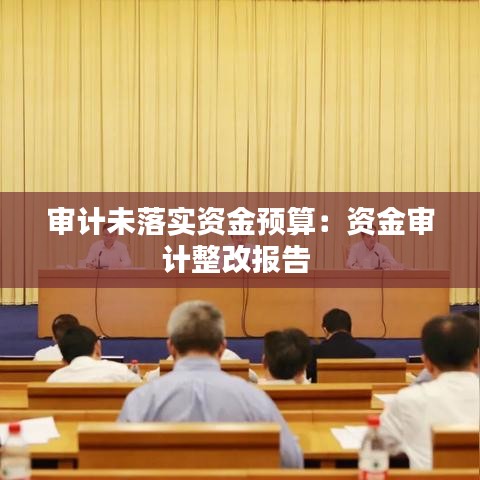 审计未落实资金预算：资金审计整改报告 