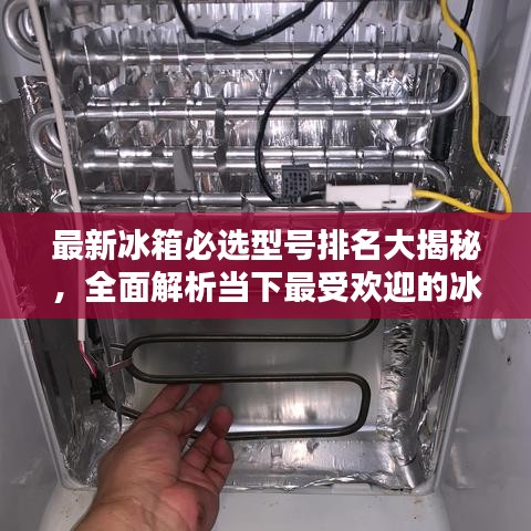 最新冰箱必选型号排名大揭秘，全面解析当下最受欢迎的冰箱型号！