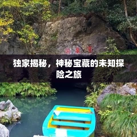 独家揭秘，神秘宝藏的未知探险之旅