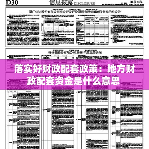 落实好财政配套政策：地方财政配套资金是什么意思 