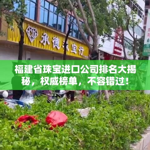 福建省珠宝进口公司排名大揭秘，权威榜单，不容错过！