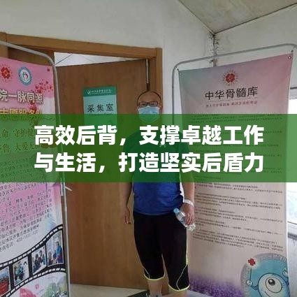 高效后背，支撑卓越工作与生活，打造坚实后盾力量