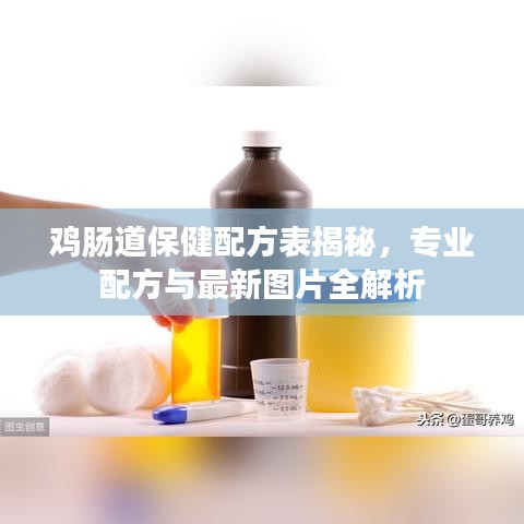 鸡肠道保健配方表揭秘，专业配方与最新图片全解析