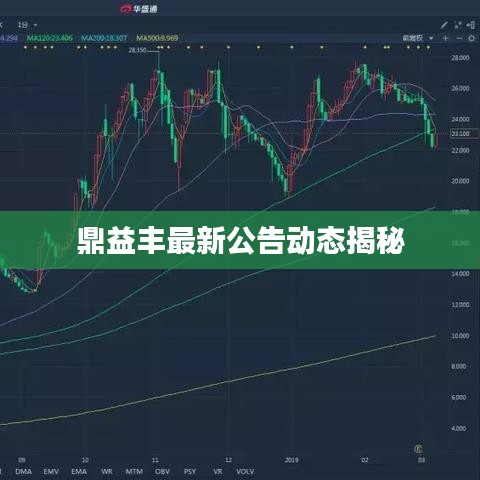 鼎益丰最新公告动态揭秘