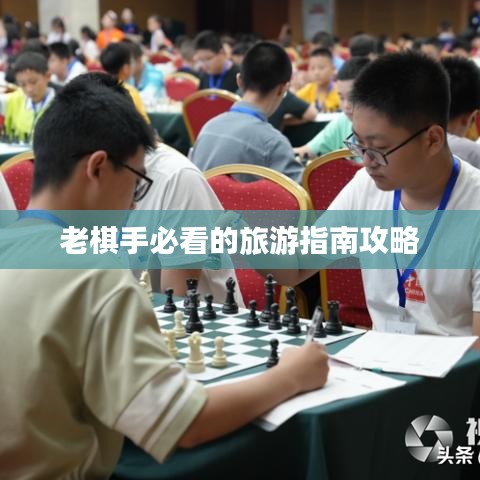 老棋手必看的旅游指南攻略