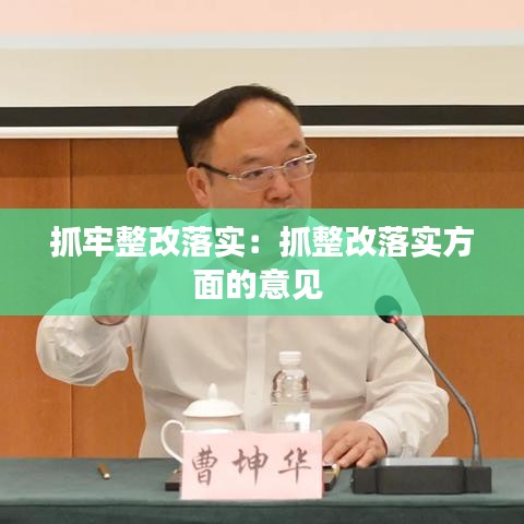 抓牢整改落实：抓整改落实方面的意见 