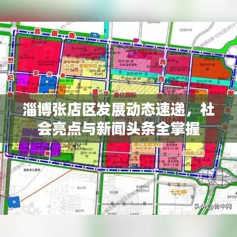 淄博张店区发展动态速递，社会亮点与新闻头条全掌握