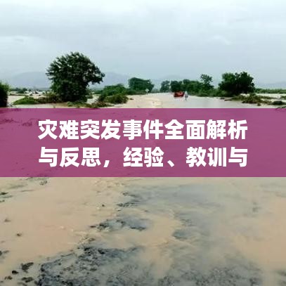 灾难突发事件全面解析与反思，经验、教训与应对策略