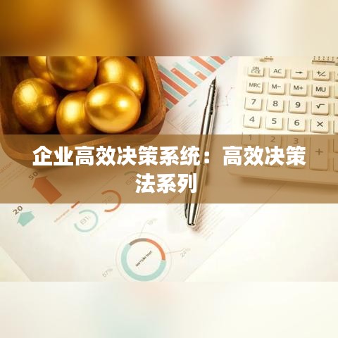 企业高效决策系统：高效决策法系列 