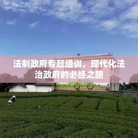 法制政府专题培训，现代化法治政府的必经之路