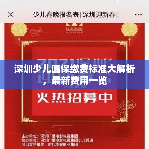 深圳少儿医保缴费标准大解析，最新费用一览