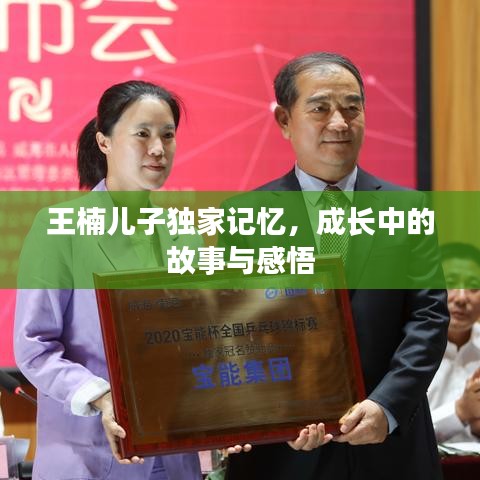 王楠儿子独家记忆，成长中的故事与感悟