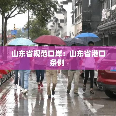 山东省规范口岸：山东省港口条例 