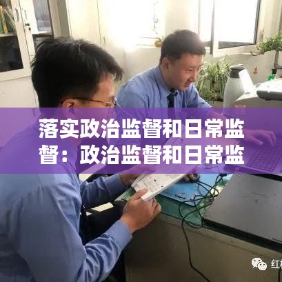 落实政治监督和日常监督：政治监督和日常监督工作体会 