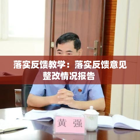 落实反馈教学：落实反馈意见整改情况报告 