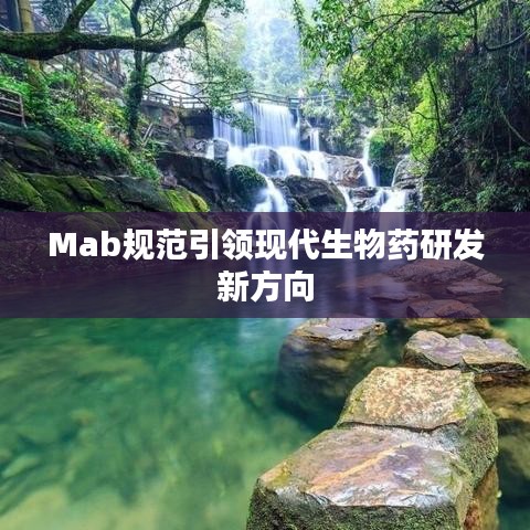 Mab规范引领现代生物药研发新方向