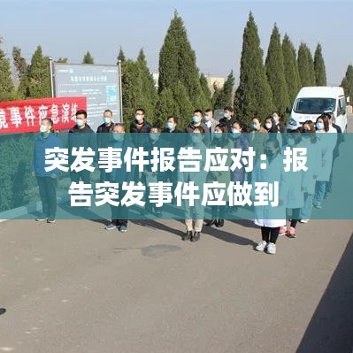 突发事件报告应对：报告突发事件应做到 