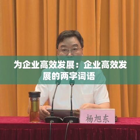 为企业高效发展：企业高效发展的两字词语 