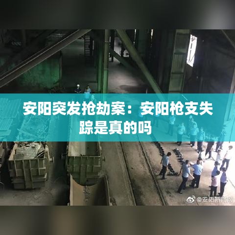 安阳突发抢劫案：安阳枪支失踪是真的吗 