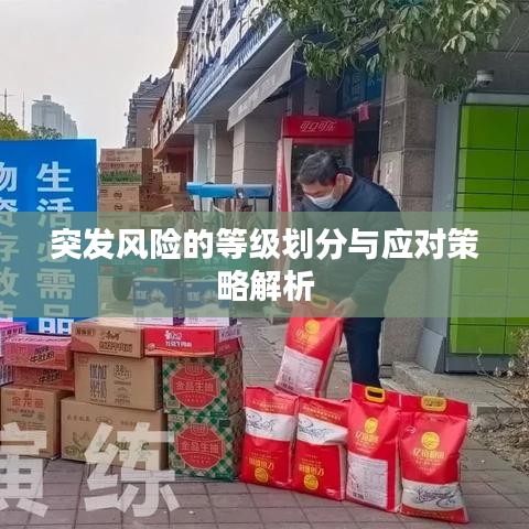 突发风险的等级划分与应对策略解析