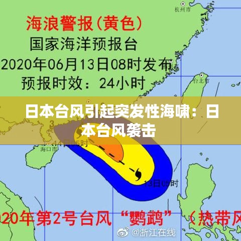 日本台风引起突发性海啸：日本台风袭击 