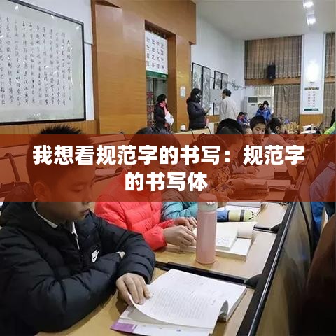 我想看规范字的书写：规范字的书写体 