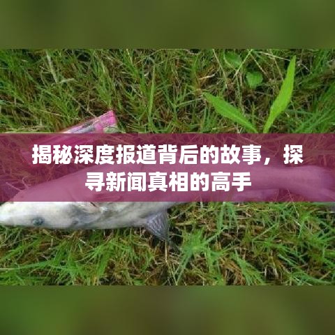 揭秘深度报道背后的故事，探寻新闻真相的高手