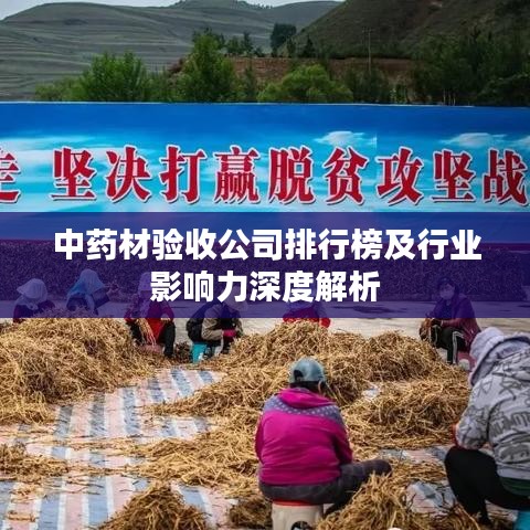 中药材验收公司排行榜及行业影响力深度解析