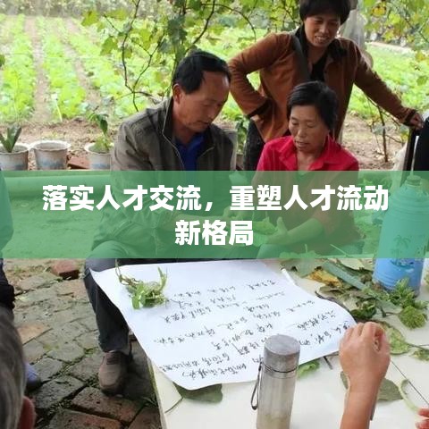 落实人才交流，重塑人才流动新格局