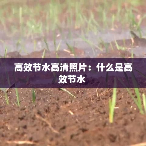 高效节水高清照片：什么是高效节水 