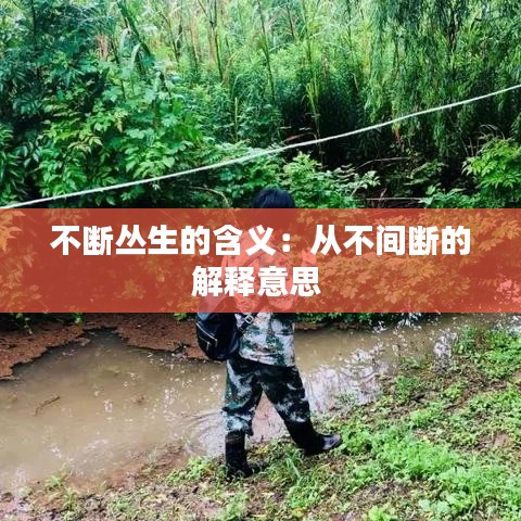 不断丛生的含义：从不间断的解释意思 