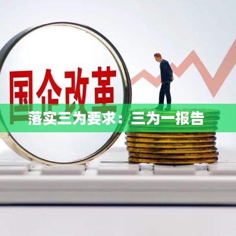 落实三为要求：三为一报告 