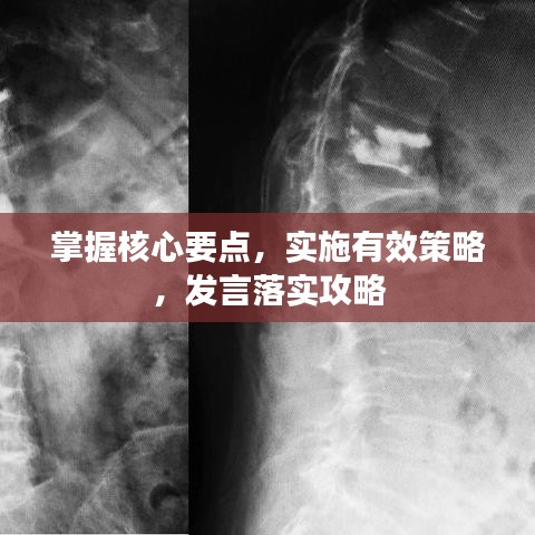 掌握核心要点，实施有效策略，发言落实攻略