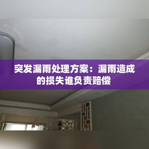 突发漏雨处理方案：漏雨造成的损失谁负责赔偿 