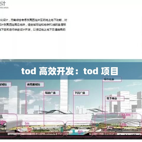 tod 高效开发：tod 项目 