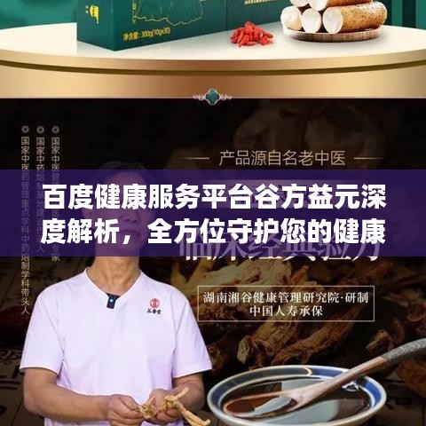 百度健康服务平台谷方益元深度解析，全方位守护您的健康之路