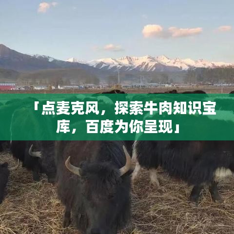 「点麦克风，探索牛肉知识宝库，百度为你呈现」