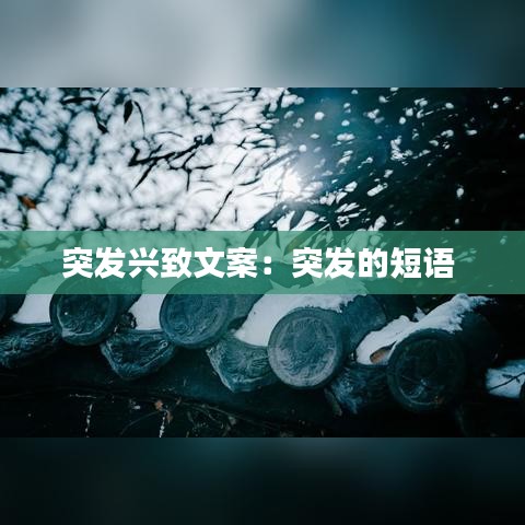 突发兴致文案：突发的短语 