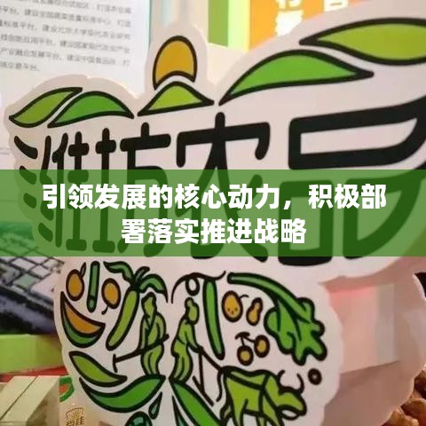 引领发展的核心动力，积极部署落实推进战略