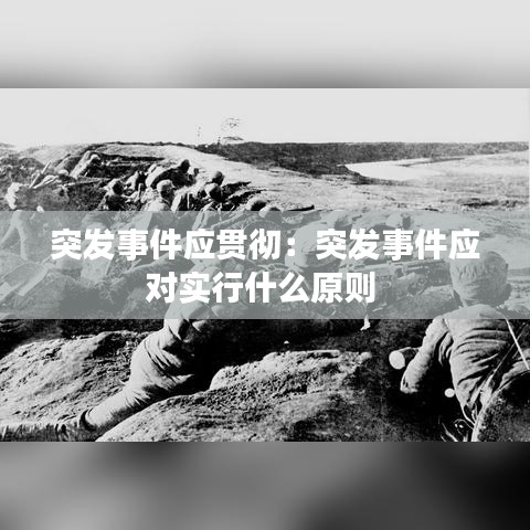 突发事件应贯彻：突发事件应对实行什么原则 