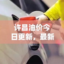 许昌油价今日更新，最新油价信息一览