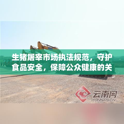 生猪屠宰市场执法规范，守护食品安全，保障公众健康的关键环节