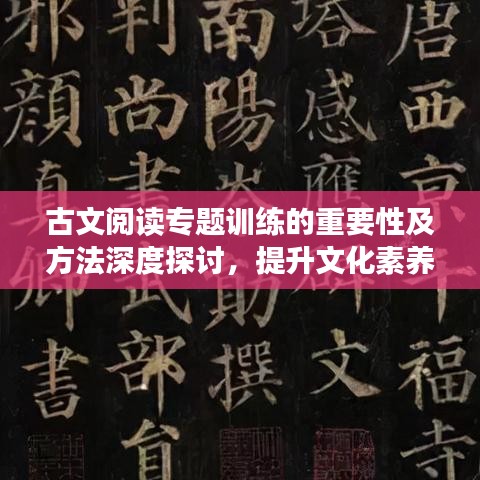 古文阅读专题训练的重要性及方法深度探讨，提升文化素养的关键路径